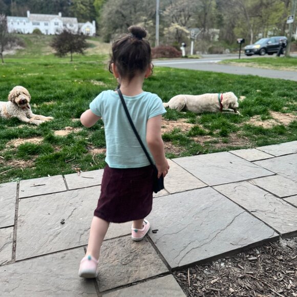 Meet your Posher, Yocaret - Picture 4 of 8